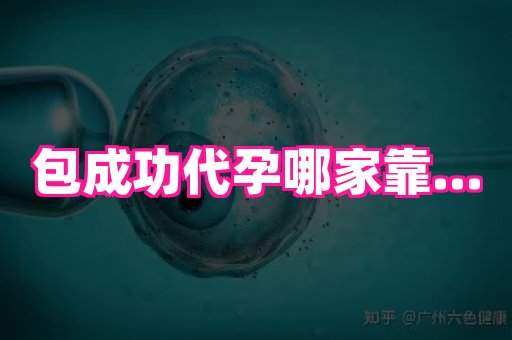 江苏助孕网 4